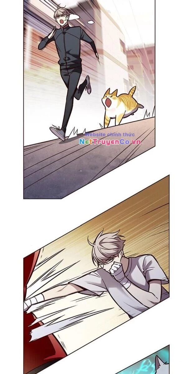 Cô Dâu Của Sói Trắng Chapter 174 - 57