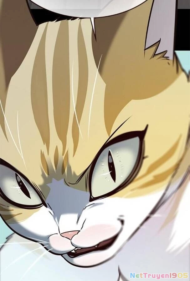 Cô Dâu Của Sói Trắng Chapter 175 - 45