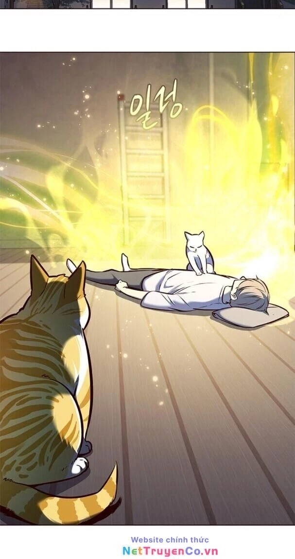 Cô Dâu Của Sói Trắng Chapter 176 - 57
