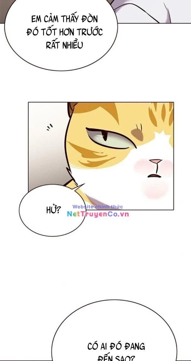 Cô Dâu Của Sói Trắng Chapter 176 - 60