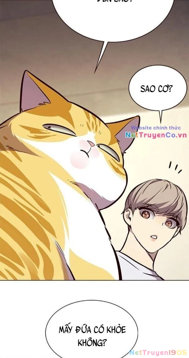 Cô Dâu Của Sói Trắng Chapter 176 - 61