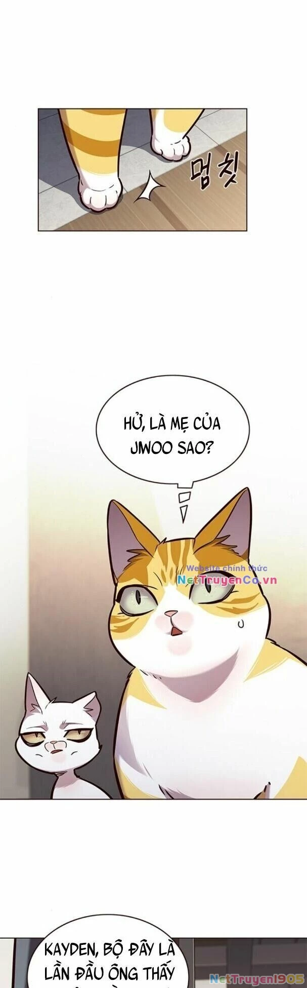 Cô Dâu Của Sói Trắng Chapter 177 - 2