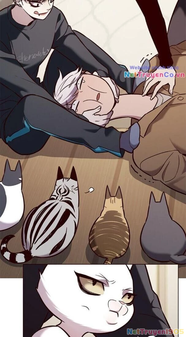 Cô Dâu Của Sói Trắng Chapter 178 - 24