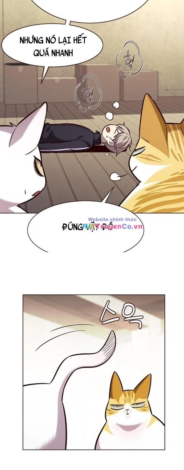 Cô Dâu Của Sói Trắng Chapter 179 - 28