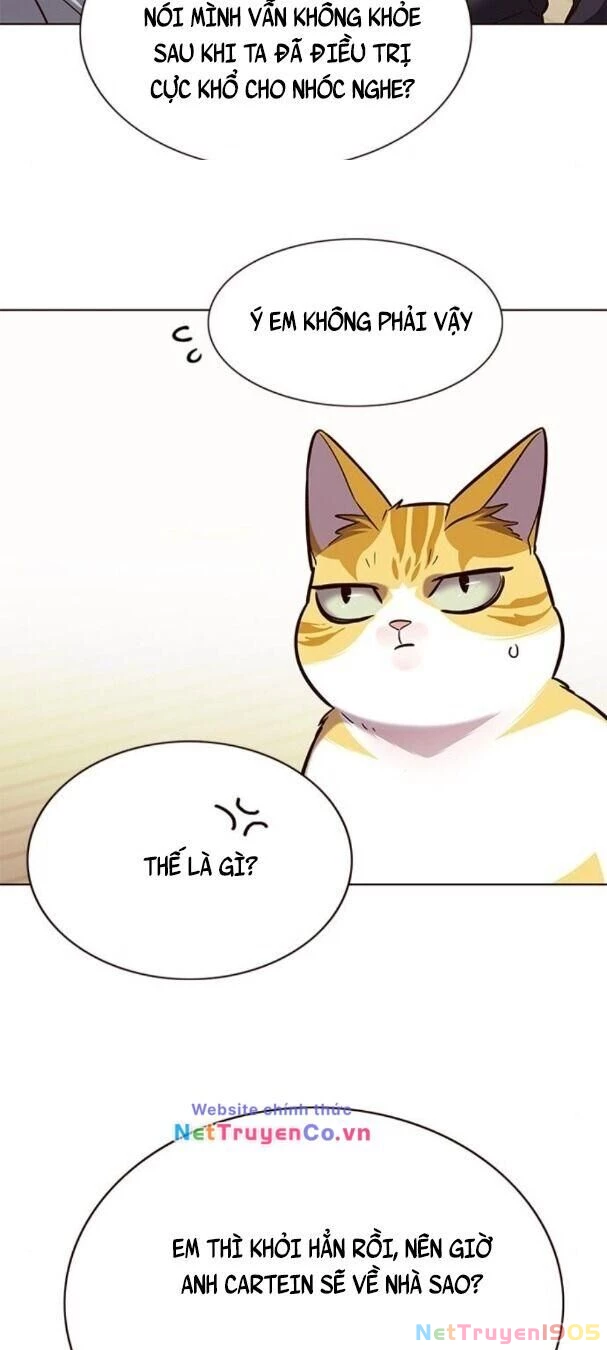 Cô Dâu Của Sói Trắng Chapter 179 - 37