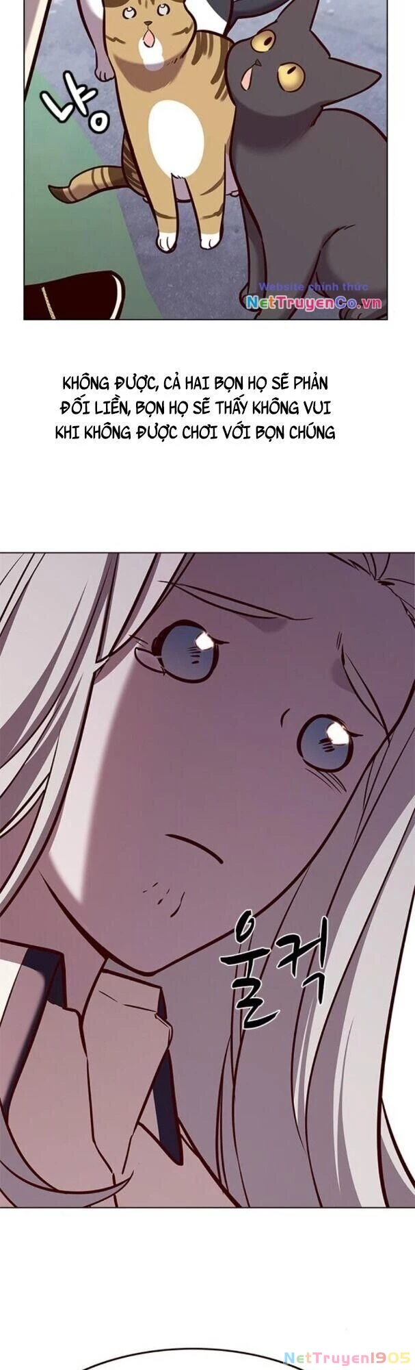 Cô Dâu Của Sói Trắng Chapter 179 - 51