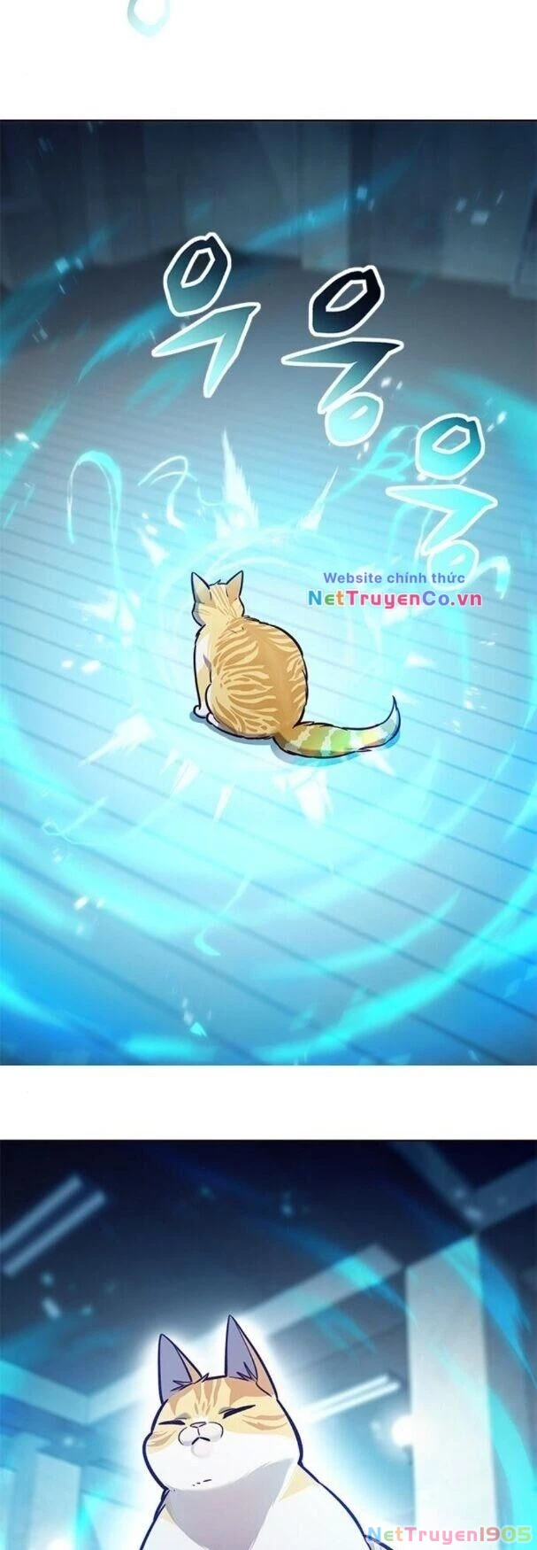 Cô Dâu Của Sói Trắng Chapter 180 - 3