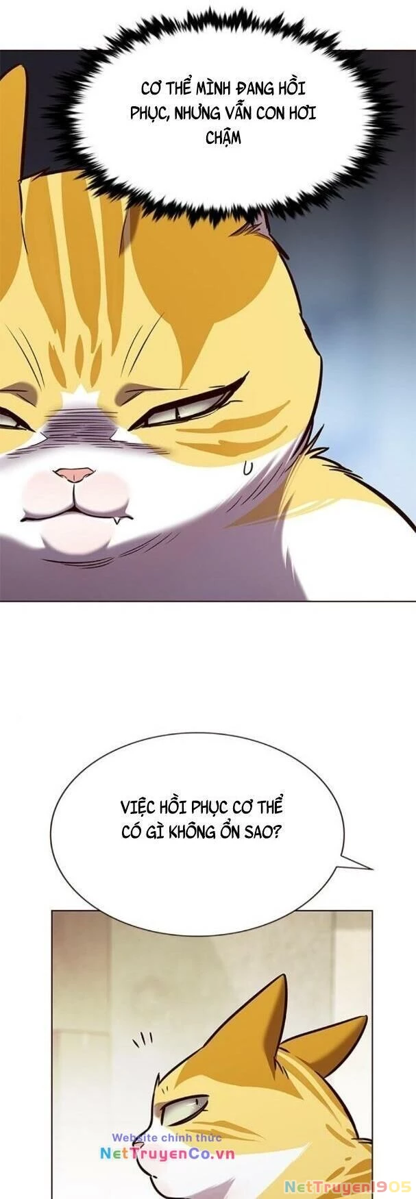 Cô Dâu Của Sói Trắng Chapter 180 - 5