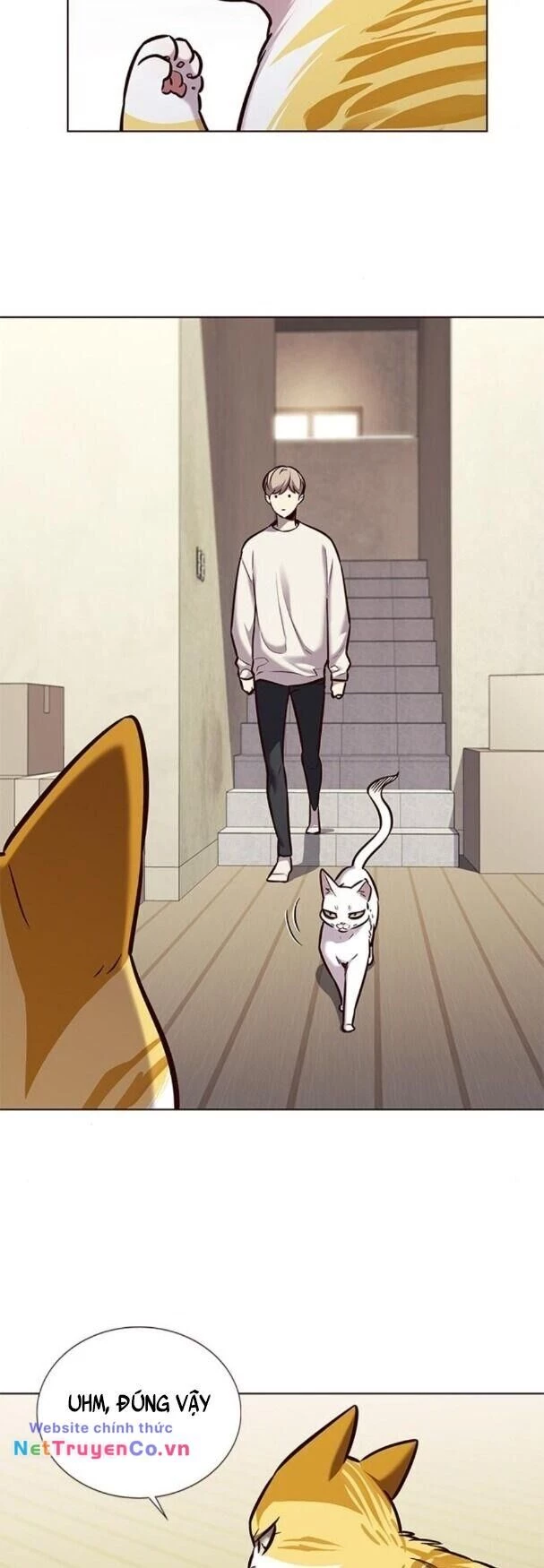 Cô Dâu Của Sói Trắng Chapter 180 - 6
