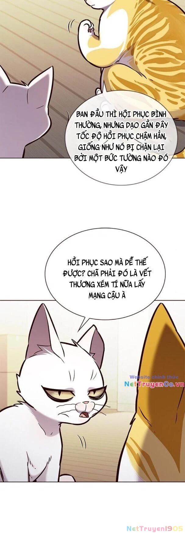 Cô Dâu Của Sói Trắng Chapter 180 - 7