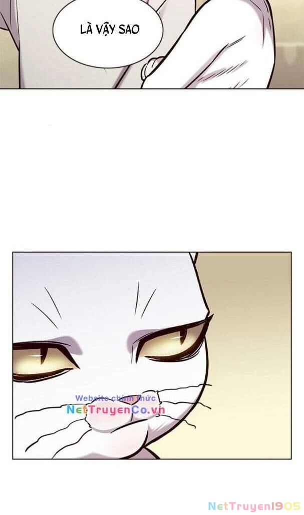 Cô Dâu Của Sói Trắng Chapter 180 - 14