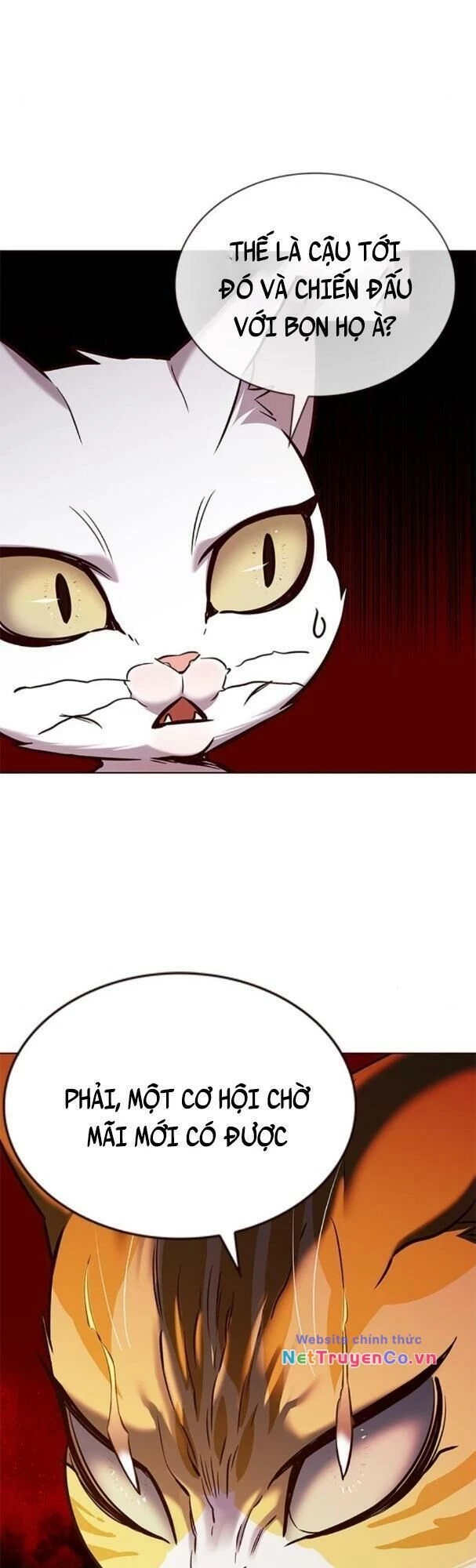 Cô Dâu Của Sói Trắng Chapter 180 - 35