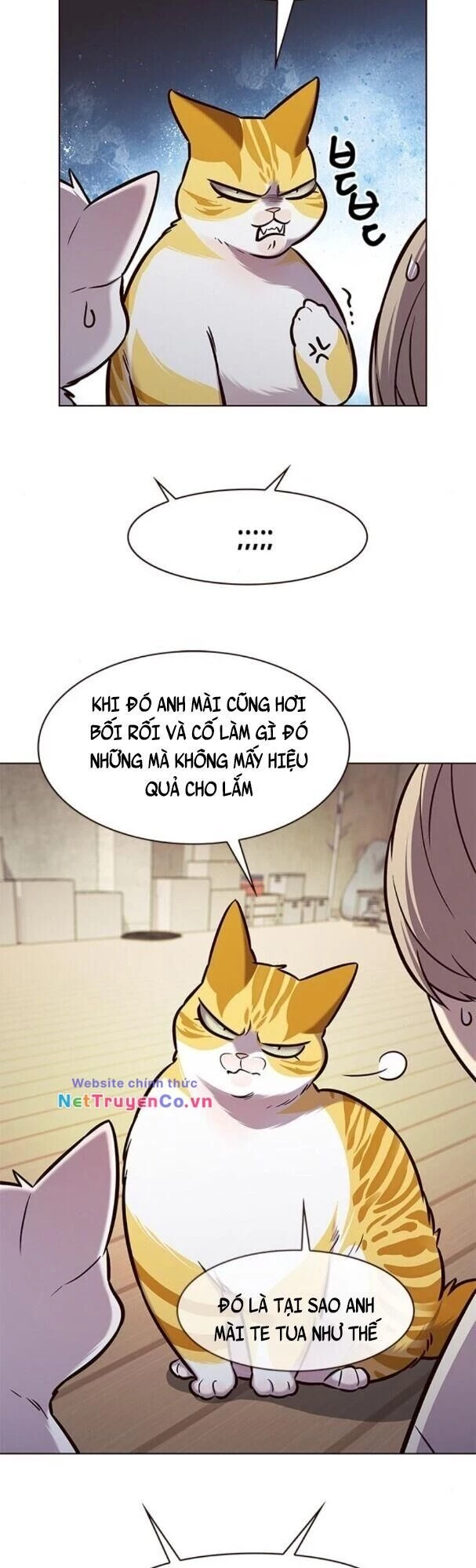 Cô Dâu Của Sói Trắng Chapter 180 - 40