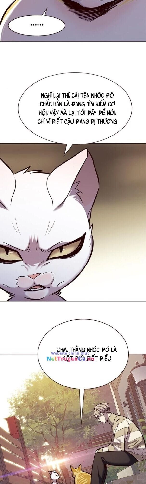 Cô Dâu Của Sói Trắng Chapter 181 - 51