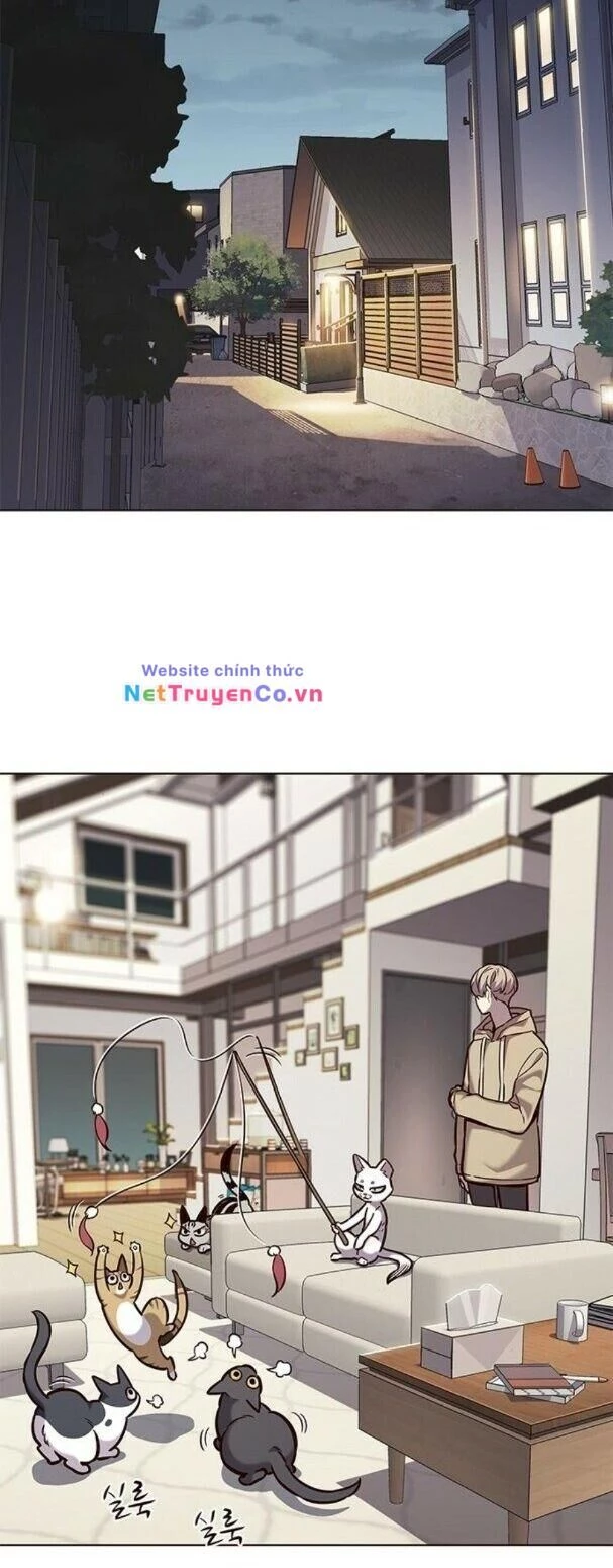 Cô Dâu Của Sói Trắng Chapter 182 - 15