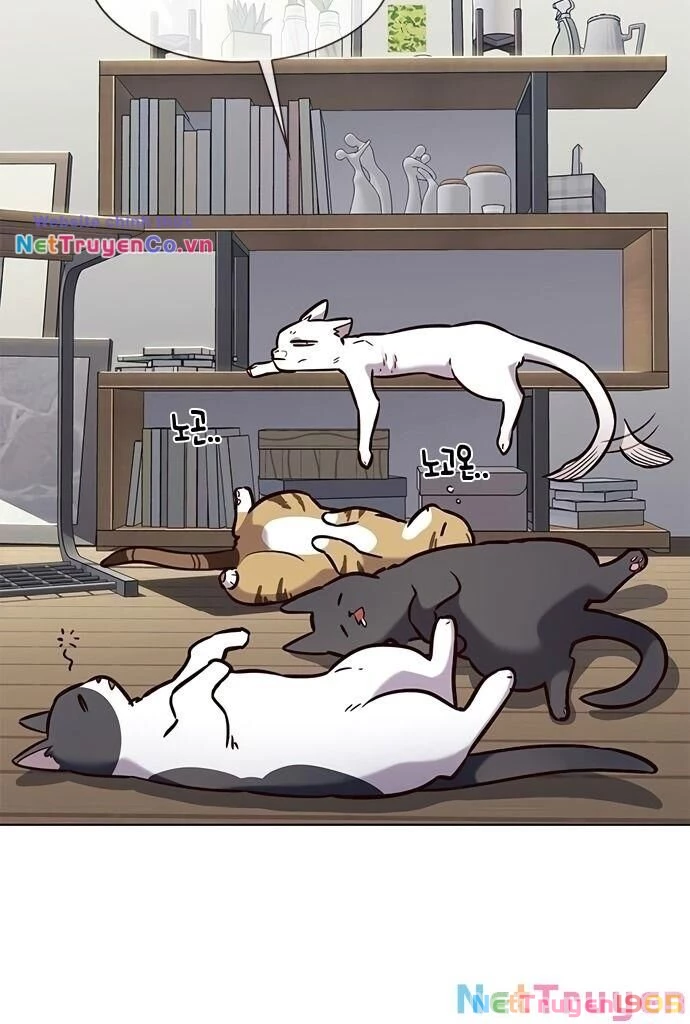 Cô Dâu Của Sói Trắng Chapter 187 - 5