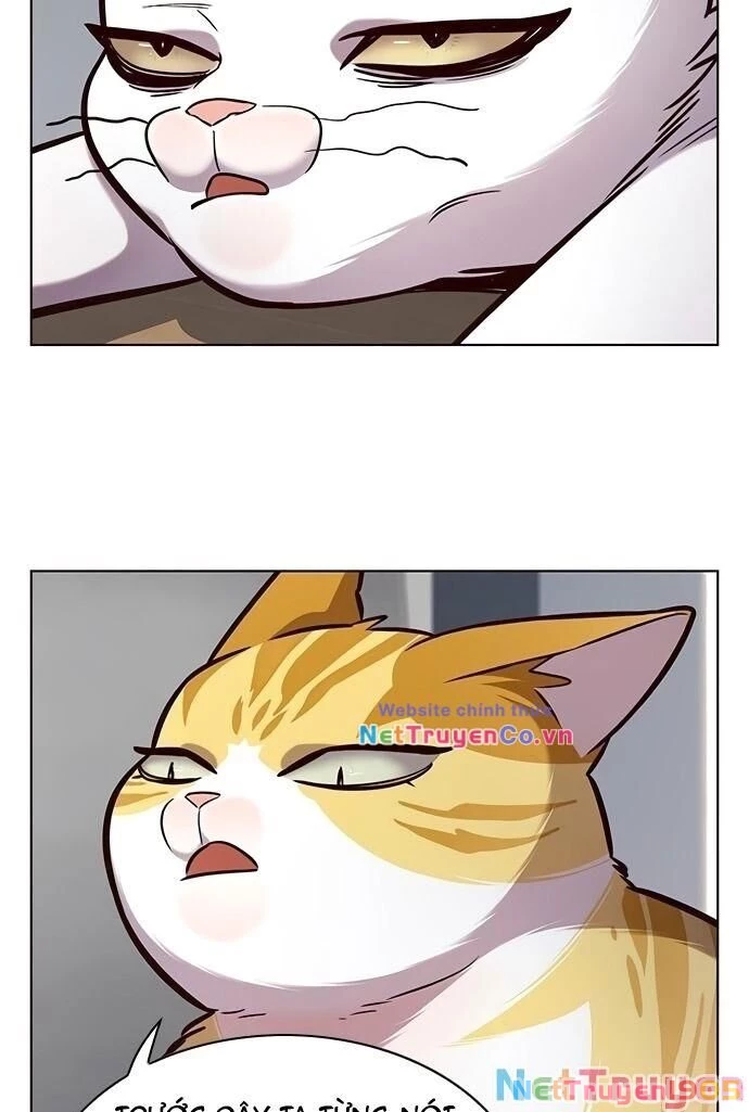 Cô Dâu Của Sói Trắng Chapter 187 - 8
