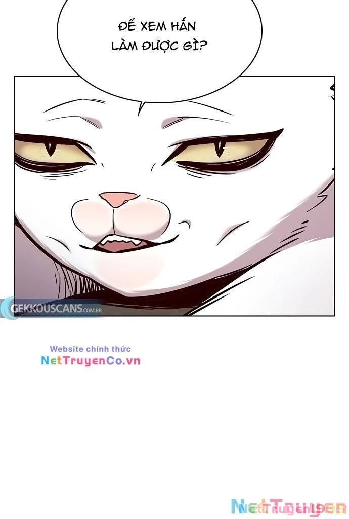 Cô Dâu Của Sói Trắng Chapter 187 - 12