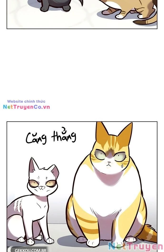 Cô Dâu Của Sói Trắng Chapter 188 - 28