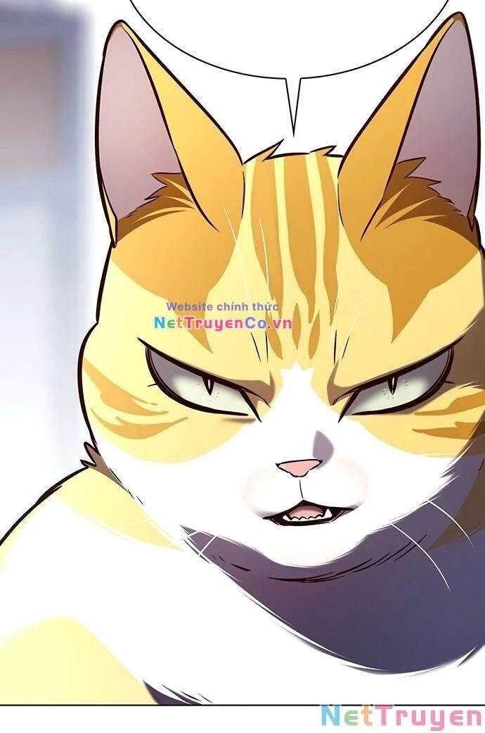 Cô Dâu Của Sói Trắng Chapter 189 - 69