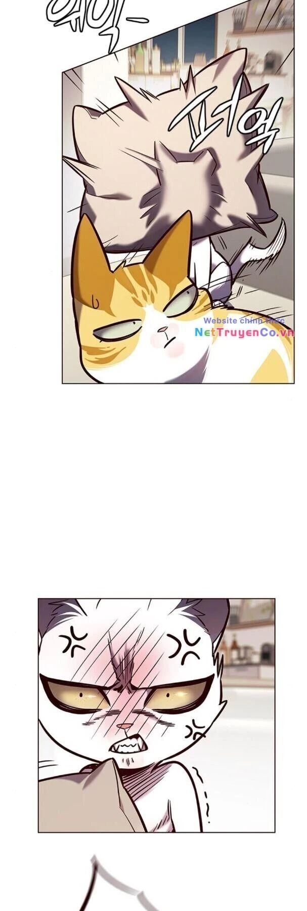 Cô Dâu Của Sói Trắng Chapter 190 - 3