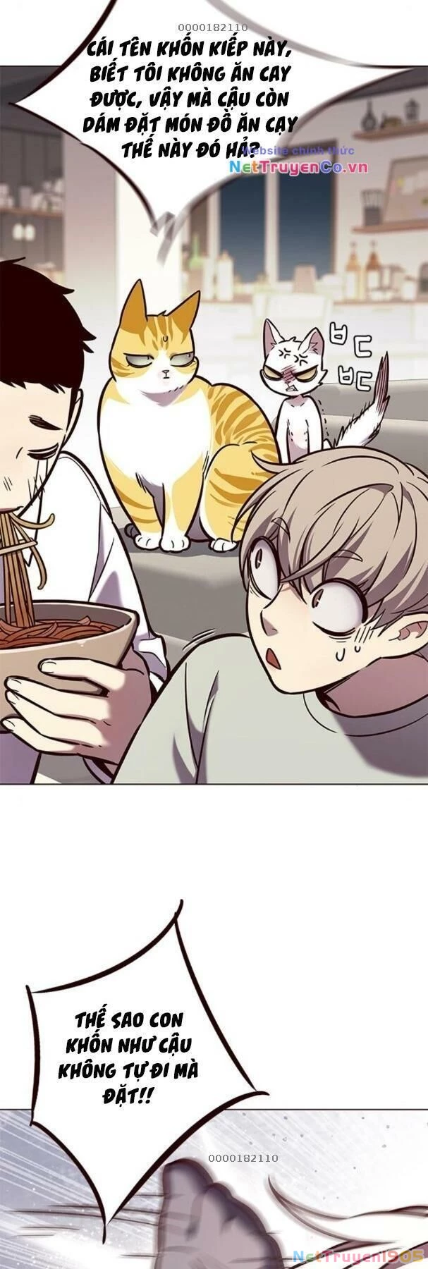 Cô Dâu Của Sói Trắng Chapter 190 - 4