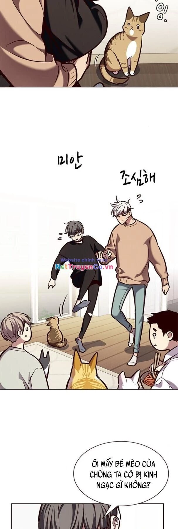 Cô Dâu Của Sói Trắng Chapter 190 - 8