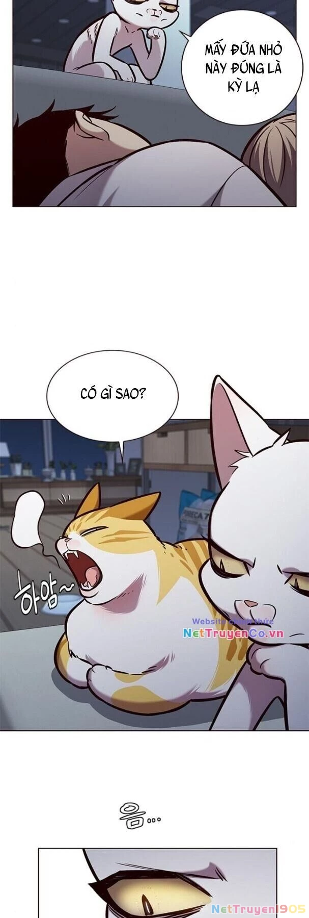 Cô Dâu Của Sói Trắng Chapter 190 - 21