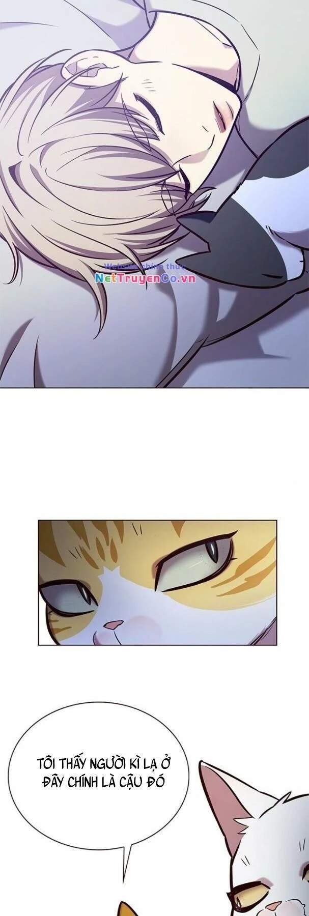 Cô Dâu Của Sói Trắng Chapter 190 - 27