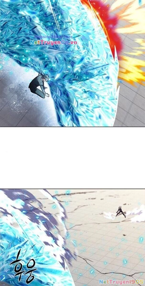 Cô Dâu Của Sói Trắng Chapter 194 - 46