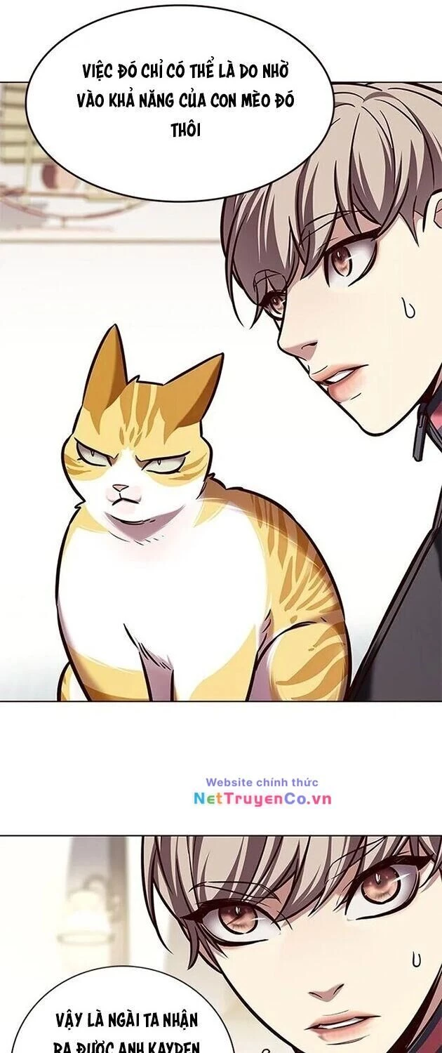 Cô Dâu Của Sói Trắng Chapter 196 - 11