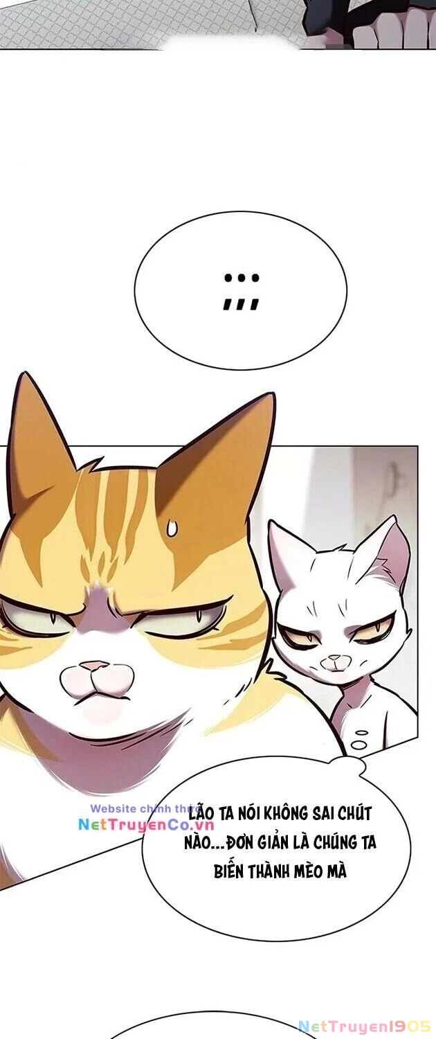 Cô Dâu Của Sói Trắng Chapter 196 - 14