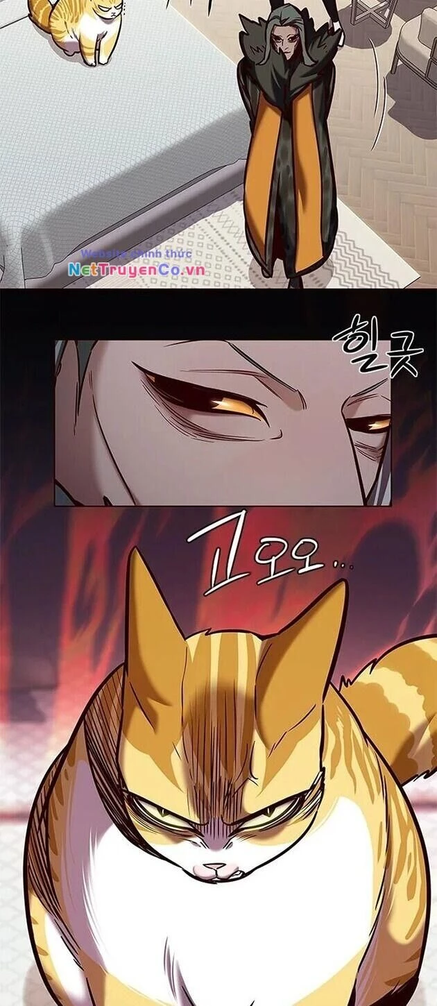 Cô Dâu Của Sói Trắng Chapter 196 - 36