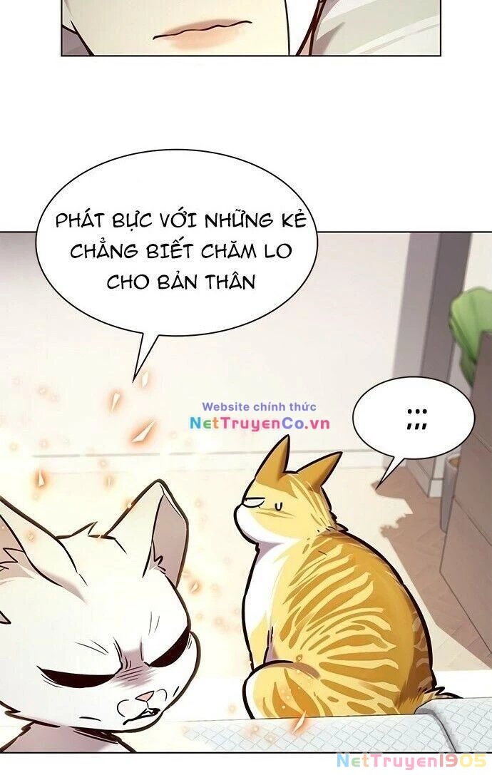 Cô Dâu Của Sói Trắng Chapter 199 - 71