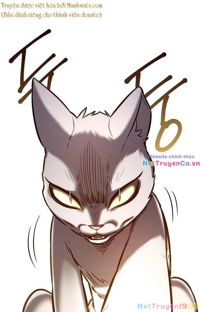 Cô Dâu Của Sói Trắng Chapter 199 - 74