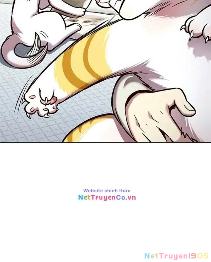 Cô Dâu Của Sói Trắng Chapter 200 - 25