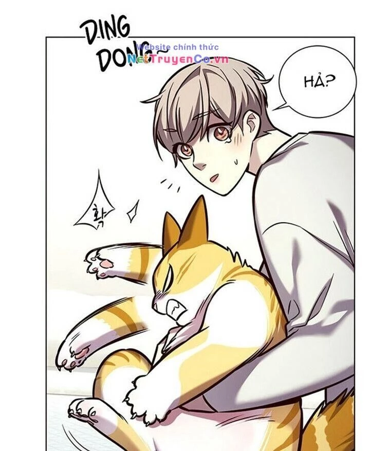 Cô Dâu Của Sói Trắng Chapter 200 - 26