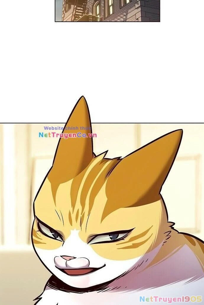 Cô Dâu Của Sói Trắng Chapter 201 - 8