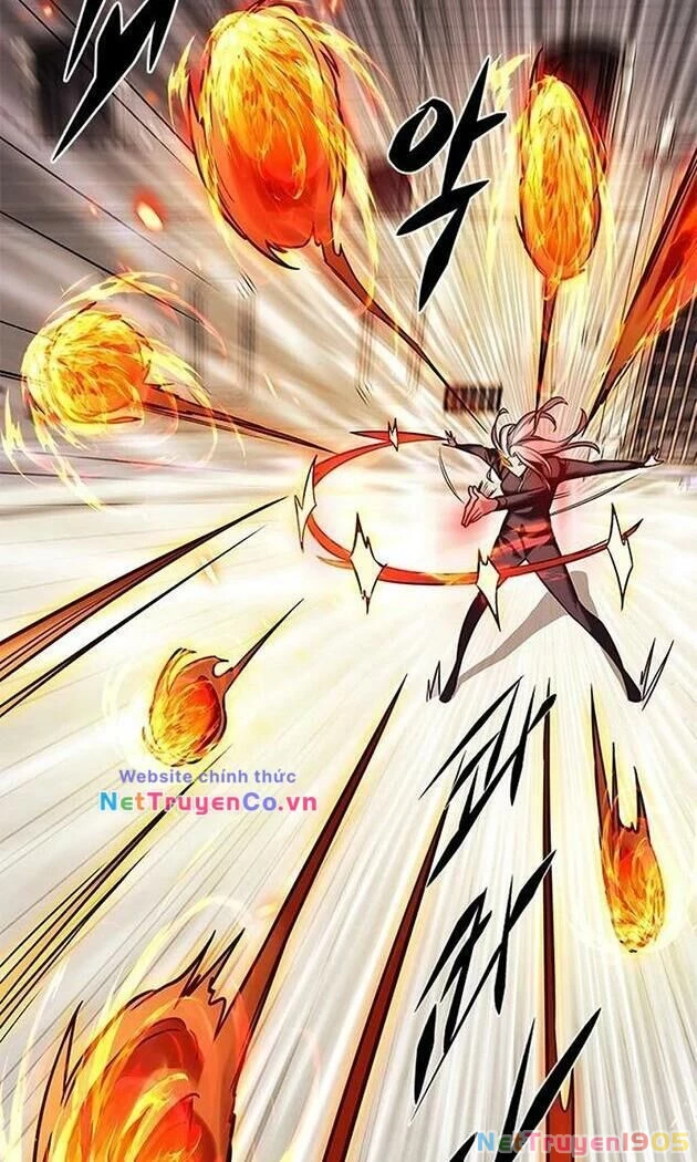 Cô Dâu Của Sói Trắng Chapter 204 - 18