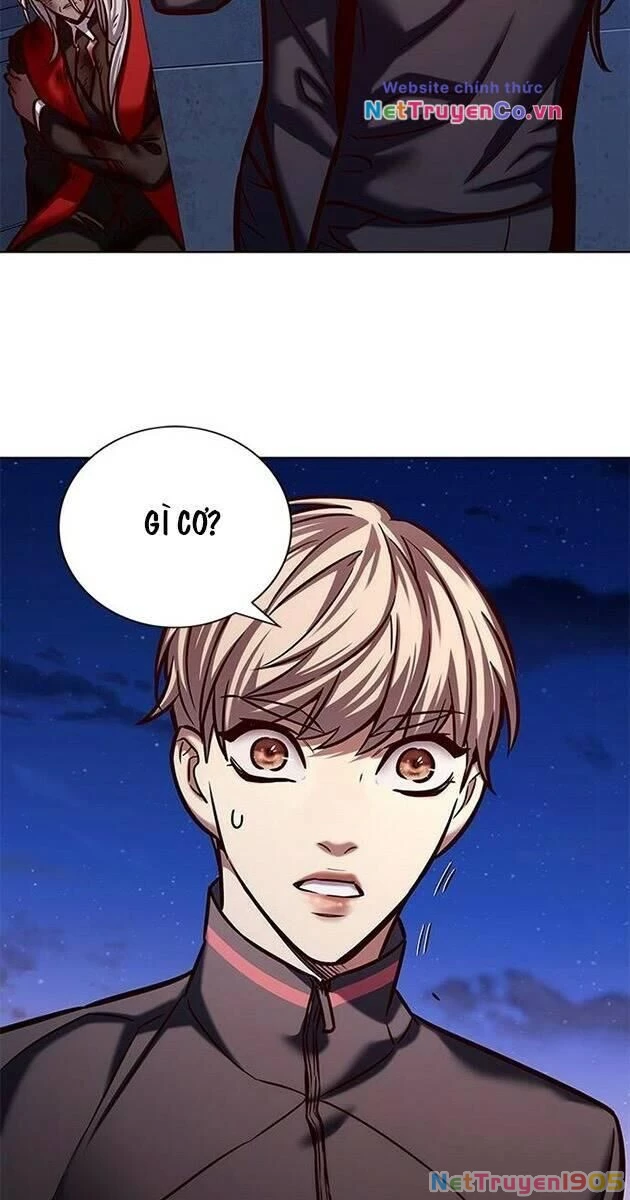 Cô Dâu Của Sói Trắng Chapter 217 - 15