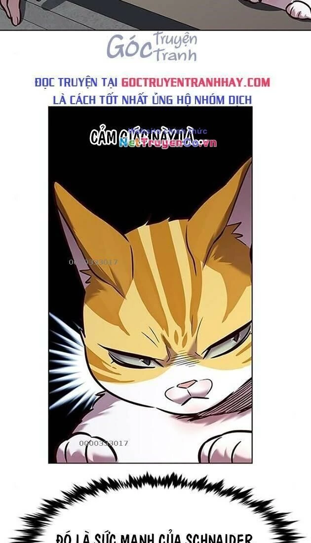 Cô Dâu Của Sói Trắng Chapter 220 - 4