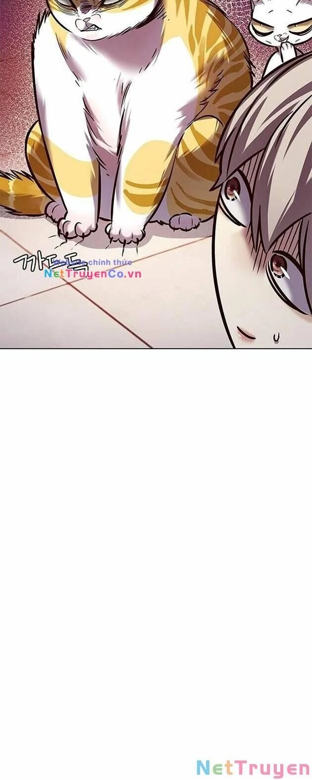 Cô Dâu Của Sói Trắng Chapter 222 - 66