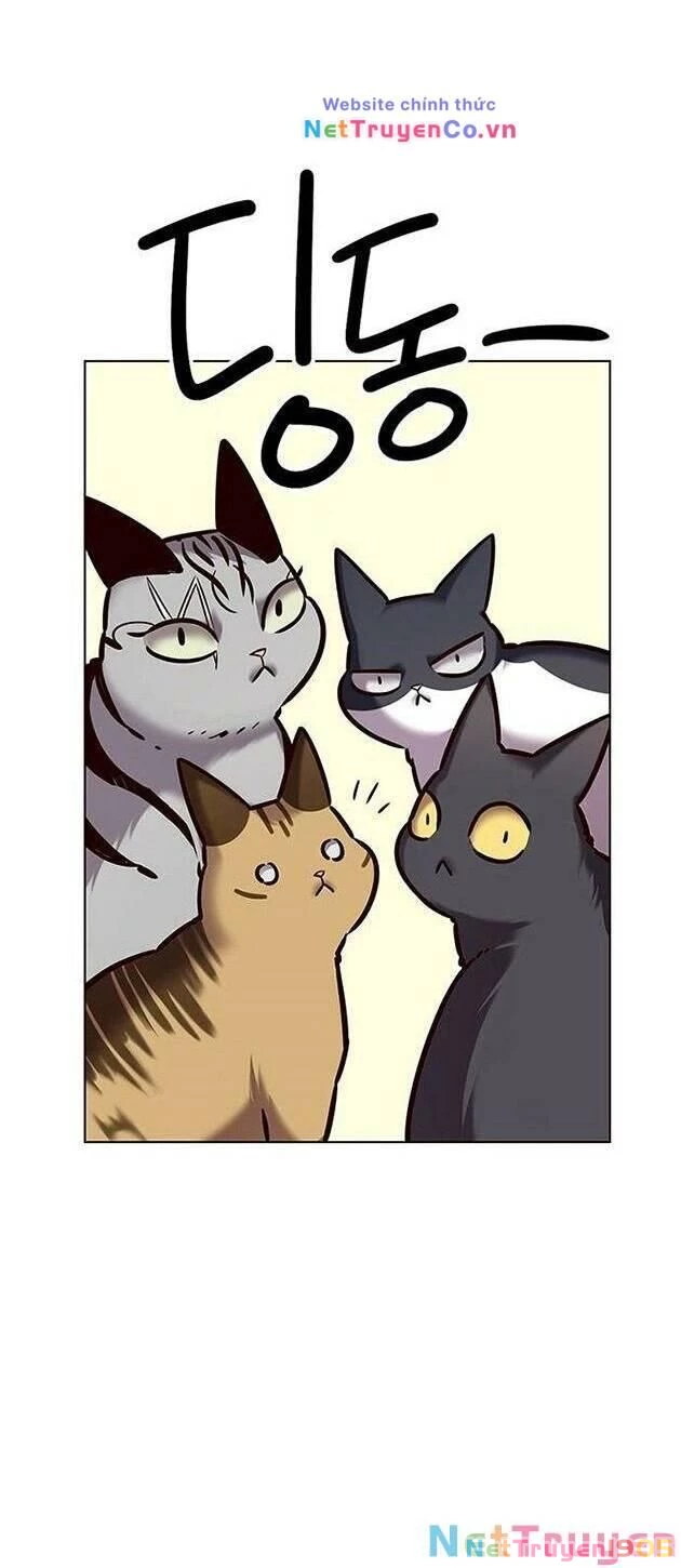 Cô Dâu Của Sói Trắng Chapter 223 - 34