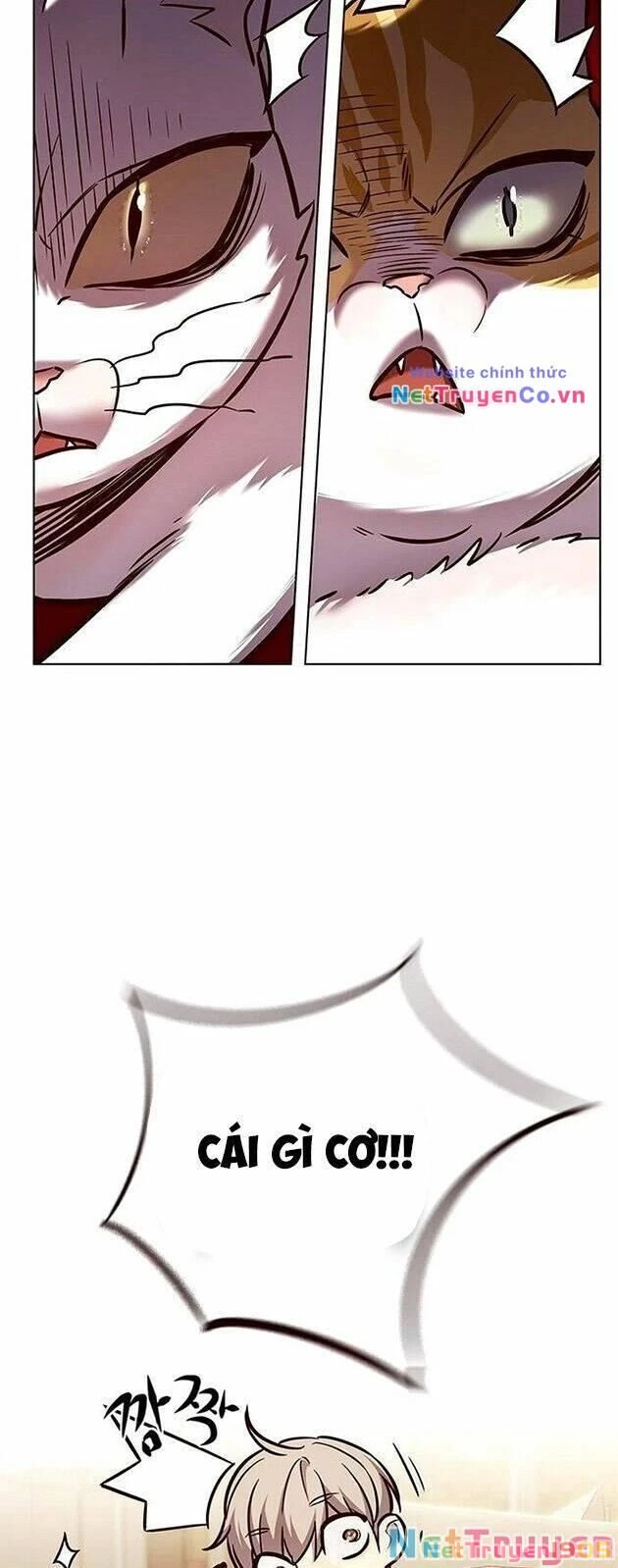 Cô Dâu Của Sói Trắng Chapter 225 - 45