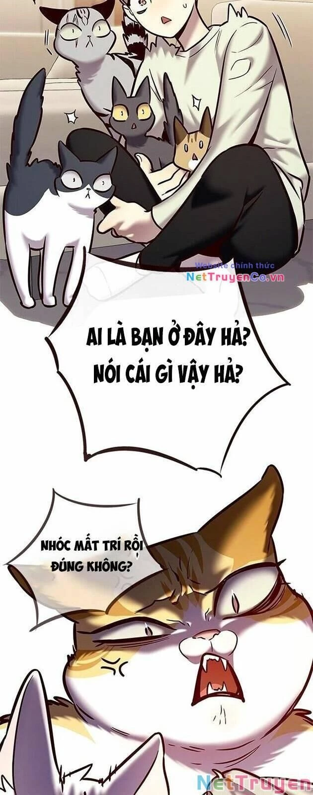 Cô Dâu Của Sói Trắng Chapter 225 - 46