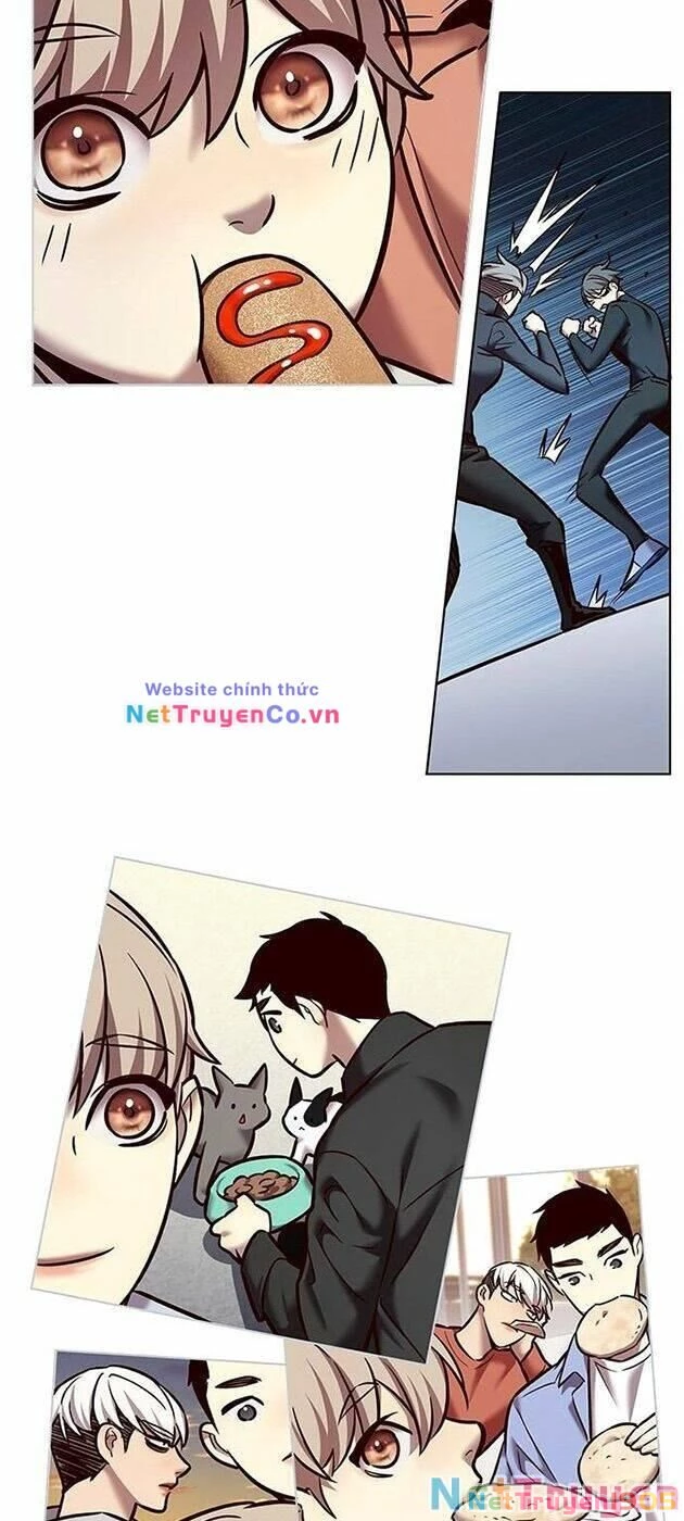 Cô Dâu Của Sói Trắng Chapter 225 - 57