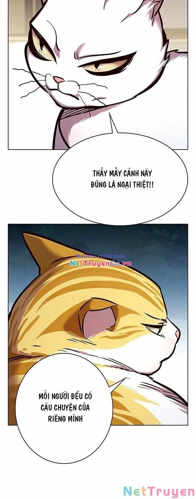 Cô Dâu Của Sói Trắng Chapter 227 - 3