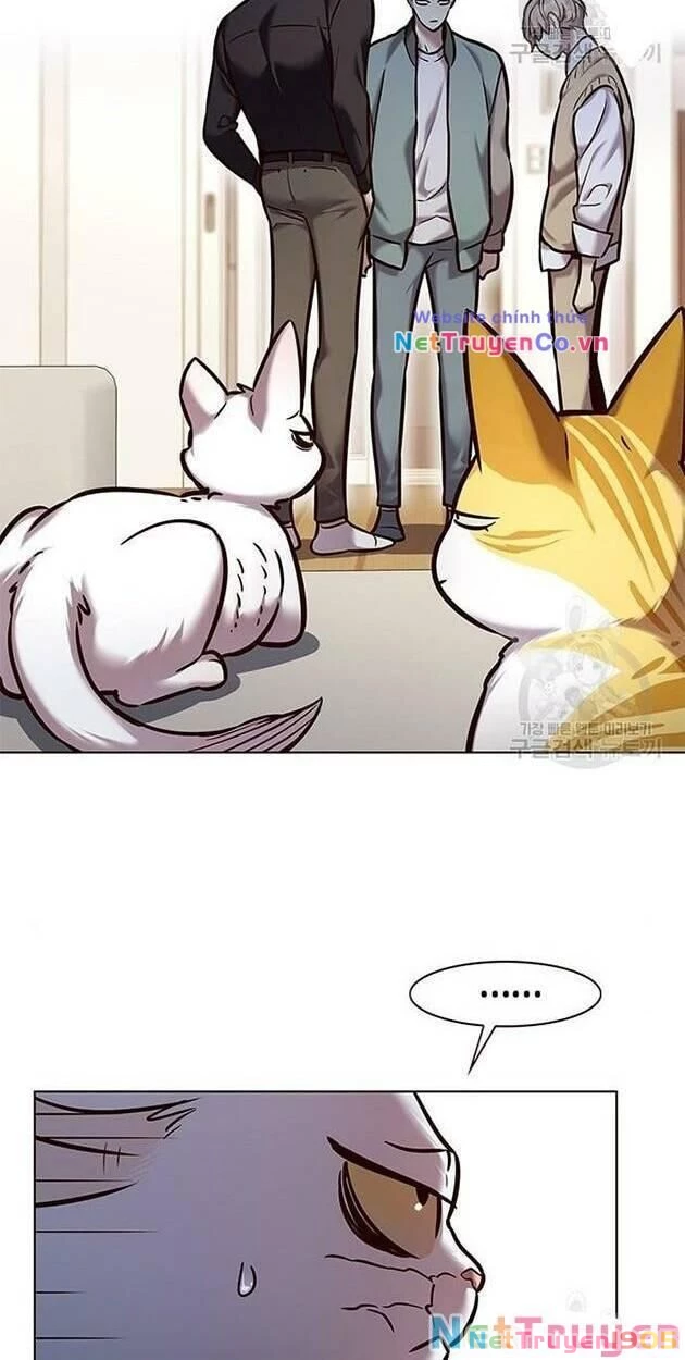 Cô Dâu Của Sói Trắng Chapter 228 - 5