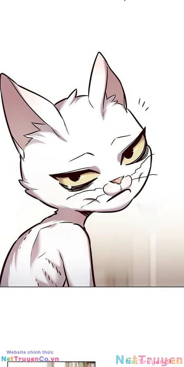 Cô Dâu Của Sói Trắng Chapter 228 - 9