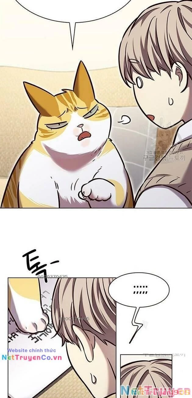 Cô Dâu Của Sói Trắng Chapter 228 - 18